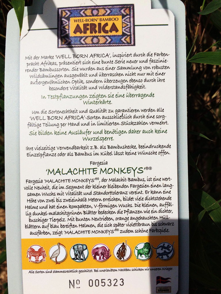 Fargesia Malachite Monkey